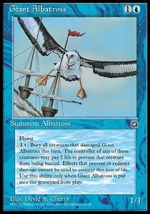 Giant Albatross