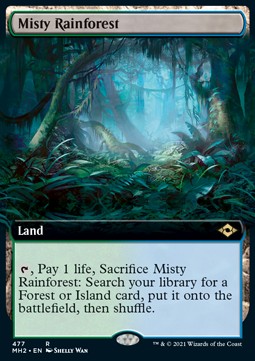 Misty Rainforest