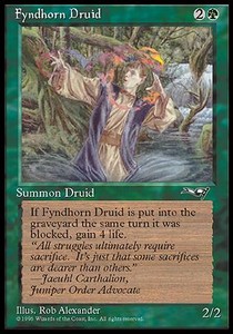 Fyndhorn Druid