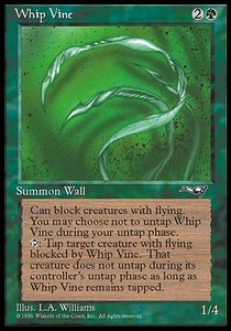Whip Vine