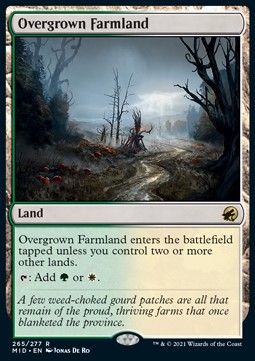 Overgrown Farmland