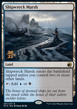 Shipwreck Marsh