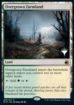 Overgrown Farmland