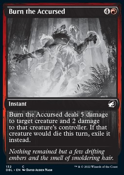 Burn the Accursed
