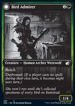 Bird Admirer // Wing Shredder