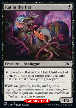 Rat in the Hat