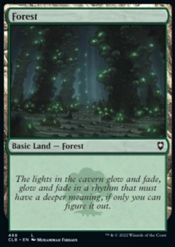 Forest