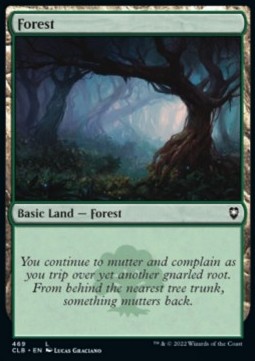 Forest