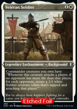 Veteran Soldier