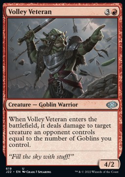 Volley Veteran