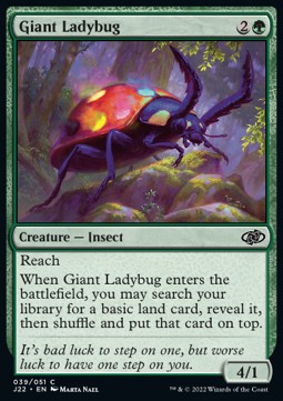 Giant Ladybug