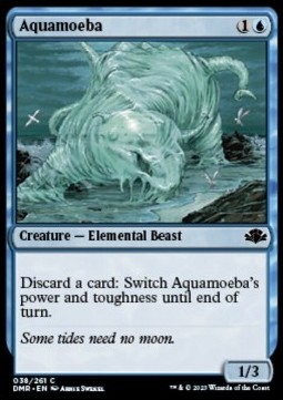 Aquamoeba