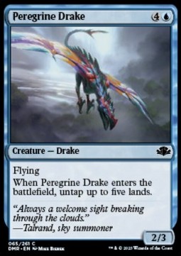 Peregrine Drake