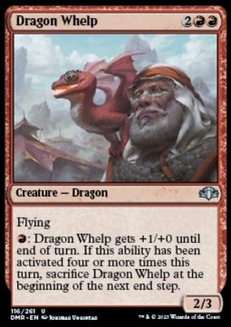 Dragon Whelp