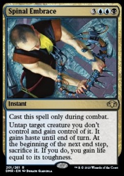 Spinal Embrace