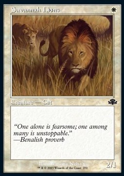 Savannah Lions