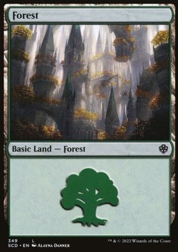 Forest