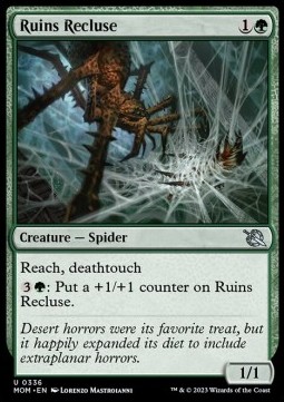 Ruins Recluse
