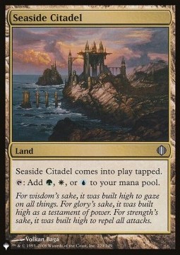 Seaside Citadel