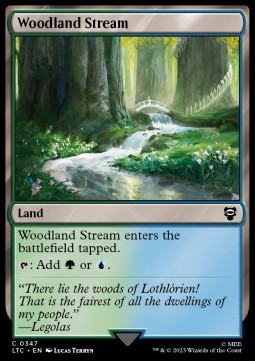 Woodland Stream