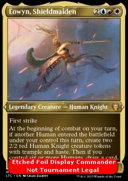 Éowyn, Shieldmaiden