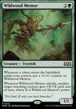 Wildwood Mentor
