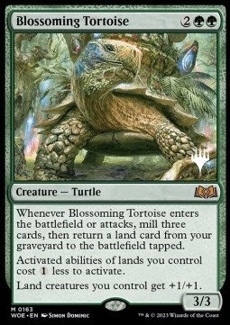 Blossoming Tortoise