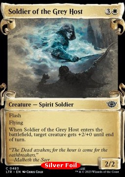 Soldier of the Grey Host