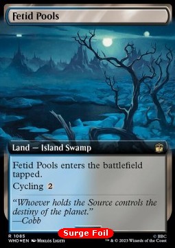 Fetid Pools