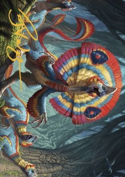 Art Series: Sunfrill Imitator
