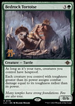 Bedrock Tortoise