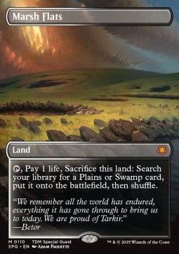 Marsh Flats