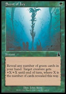 Scent of Ivy