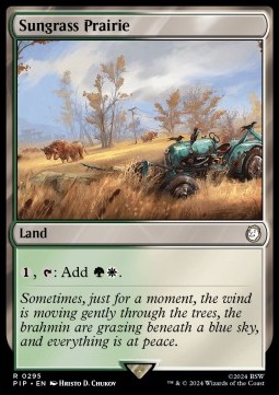 Sungrass Prairie