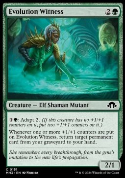 Evolution Witness