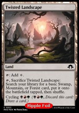 Twisted Landscape
