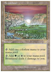 Brushland