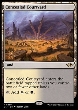 Concealed Courtyard