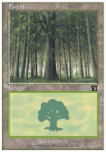 Forest